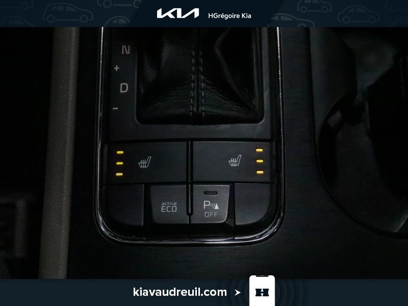 Kia Sedona 2016 Gris Saint-Eustache - photo #24