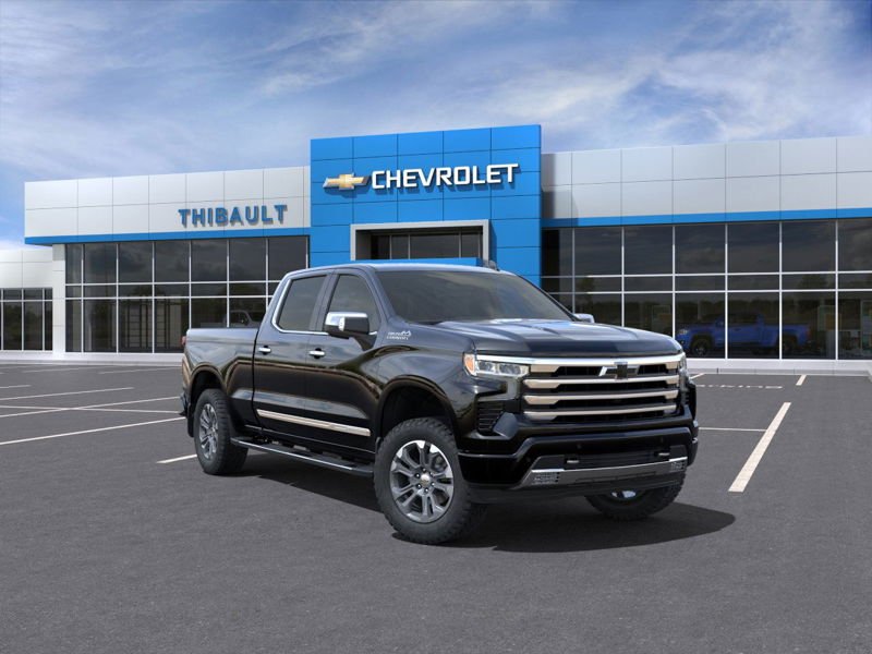 2024 CHEVROLET Silverado 1500 2024 Black