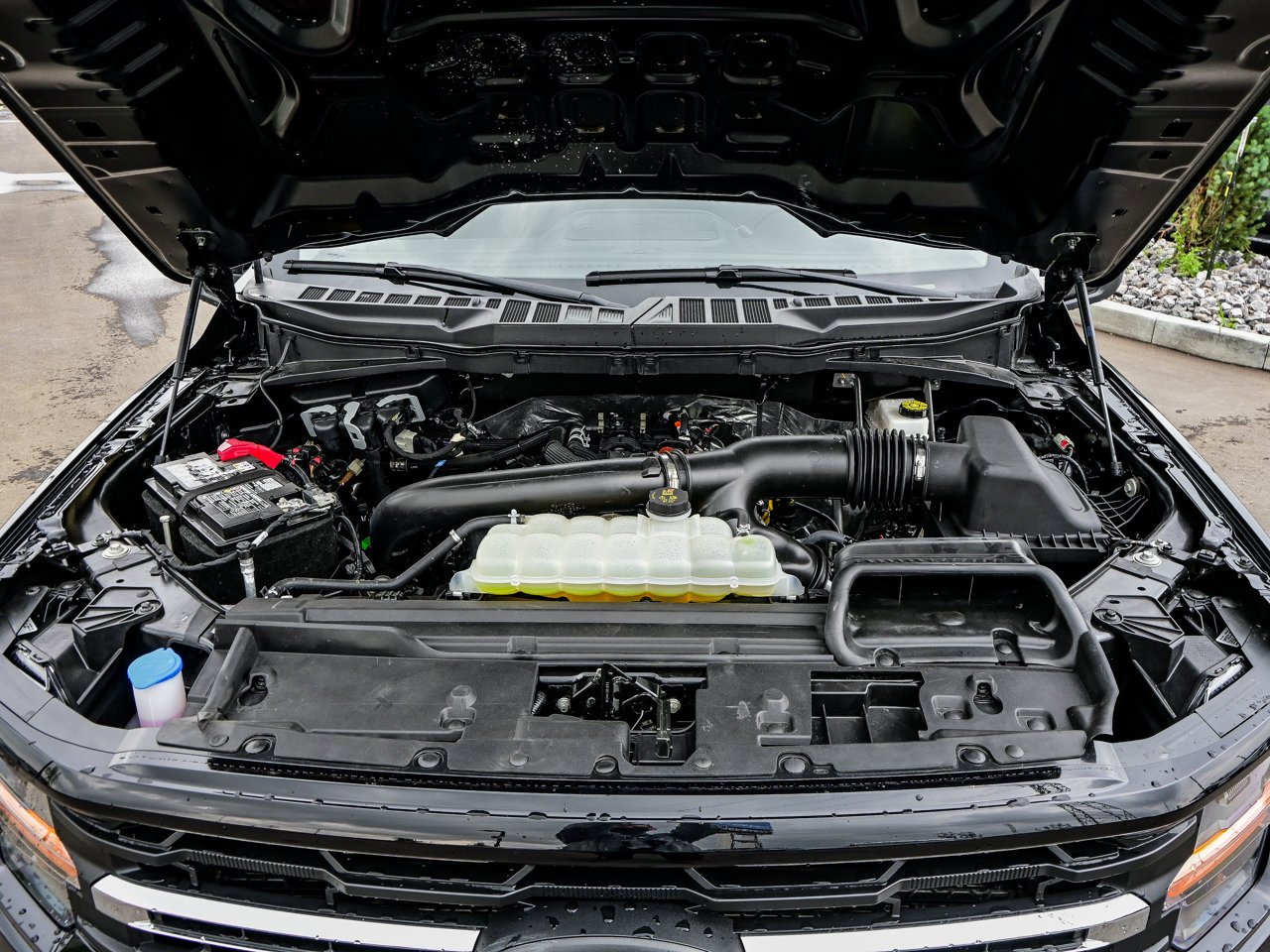 2025 Ford F-150 XLT 4WD SuperCrew 5.5' Box Black Sherwood Park - photo #8