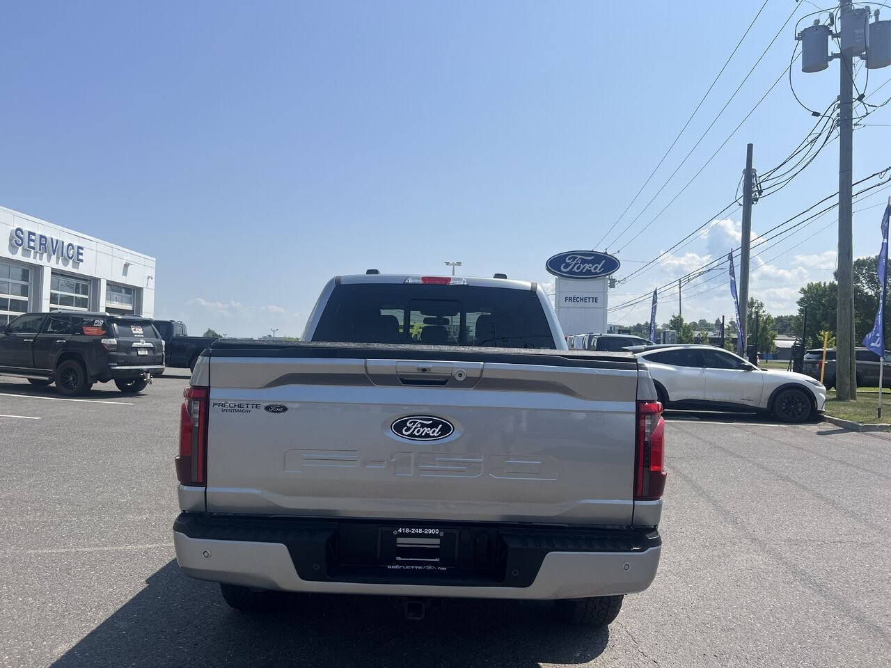 Ford F-150 2026 Gris Montmagny - photo #4