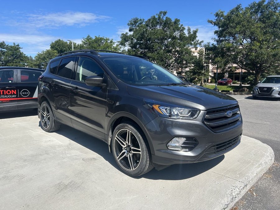 Ford Escape 2019 2019 Gris