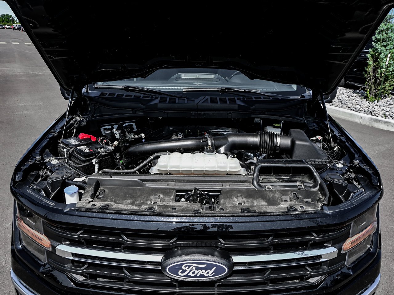 2024 Ford F-150 XLT 4WD SuperCrew 5.5' Box Black Sherwood Park - photo #8