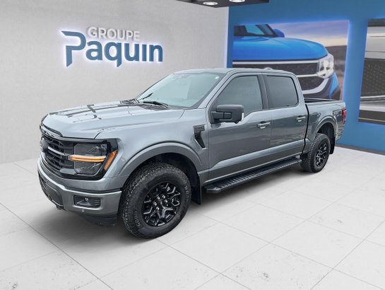 2025 Ford F-150 2025 Grey