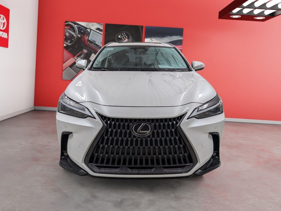 2022 Lexus NX 2022 White