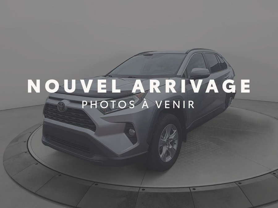 2019 Toyota RAV4 2019 Grey