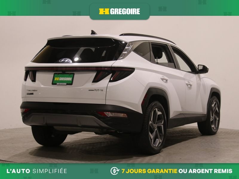 2023 Hyundai Tucson White Laval - photo #8