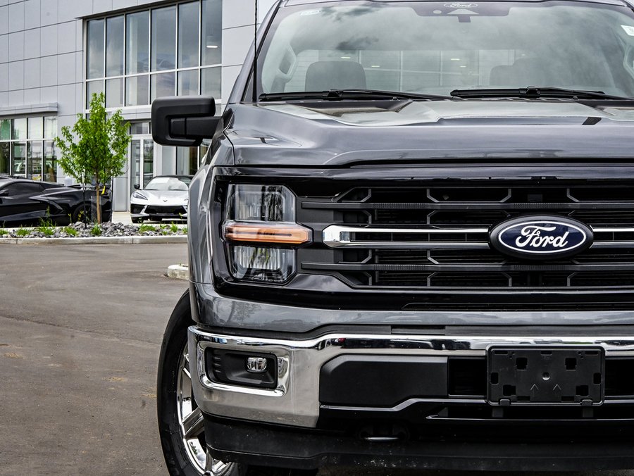 2025 Ford F-150 2025 Grey