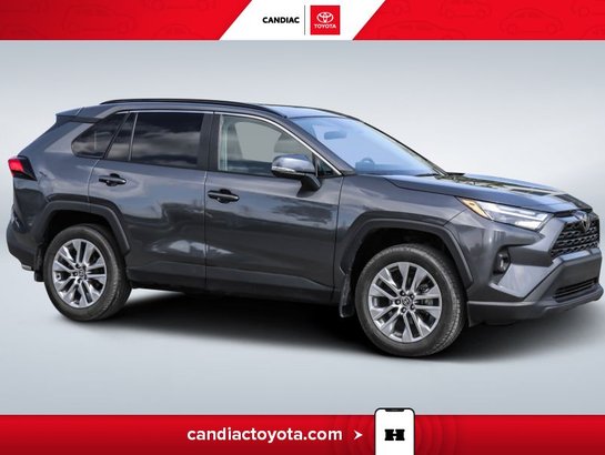 2024 Toyota Rav 4 2024 Grey