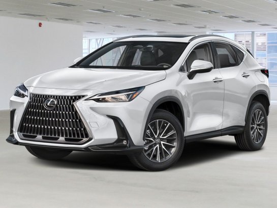 2025 Lexus NX 2025 White