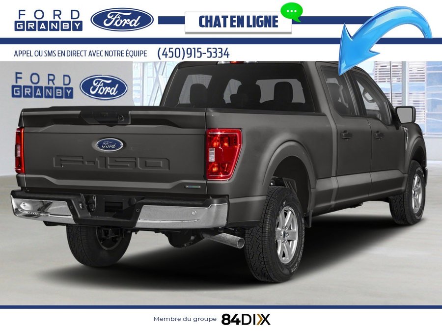 Ford F-150 XL/XLT/LARIAT/King Ranch/Platine/Tremor 2023 Gris