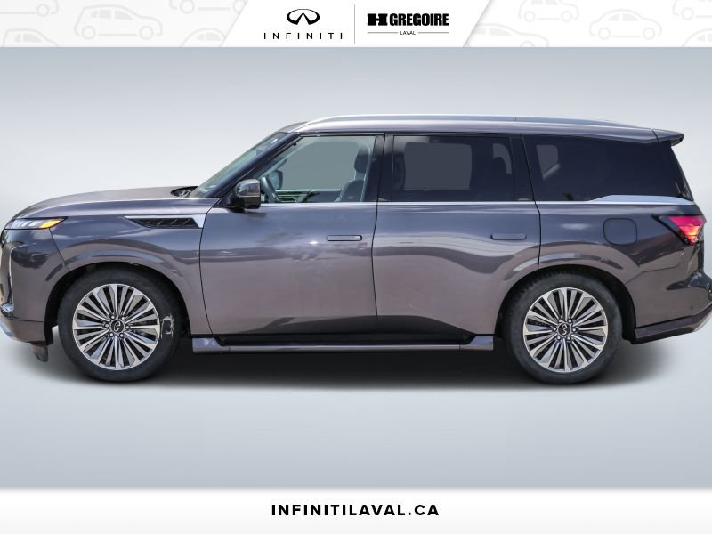 Infiniti QX80 2025 2025