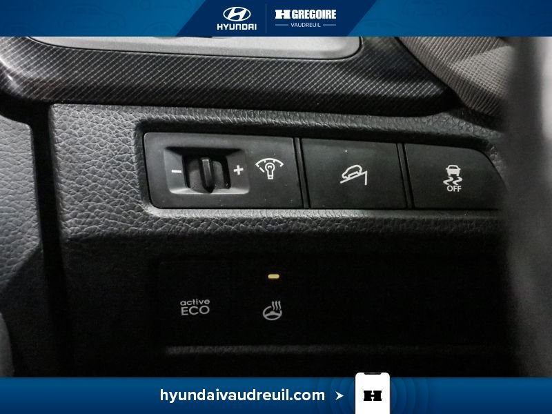 Hyundai Santa Fe 2013 Gris Saint-Eustache - photo #25