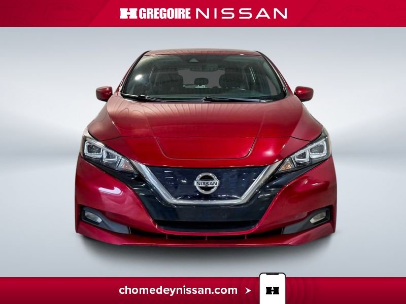 Nissan Leaf 2020 2020 Rouge
