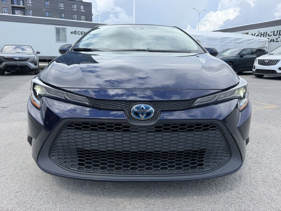 Toyota Corolla 2022 2022 Bleu