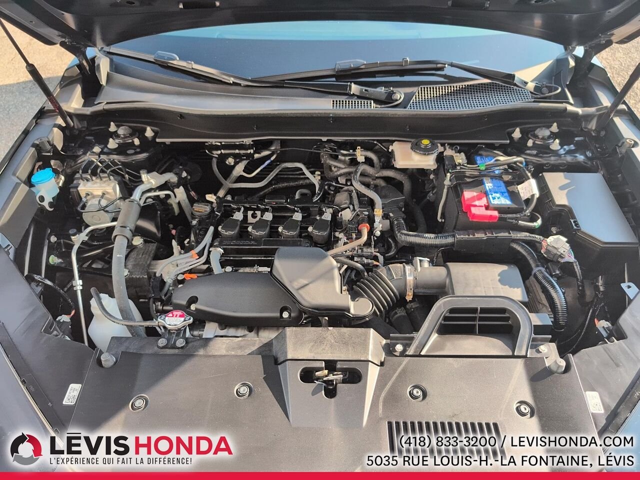 Honda CR-V LX 2RM LX 2RM 2025 Noir Lévis - photo #15