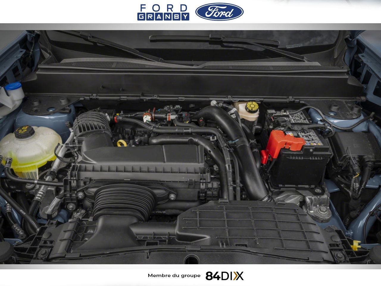 Ford Maverick 2026 Blanc Oxford Granby - photo #11