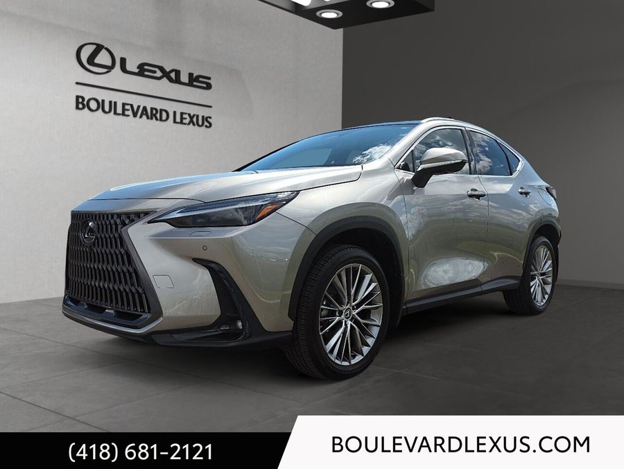 Lexus NX 2024 2024 Argent