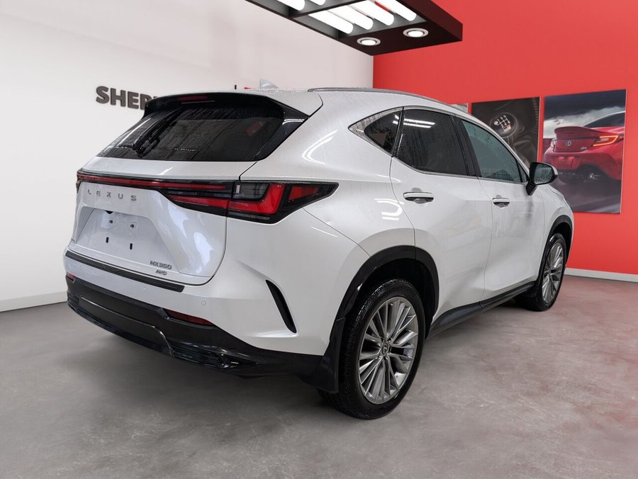 2022 Lexus NX 2022 White