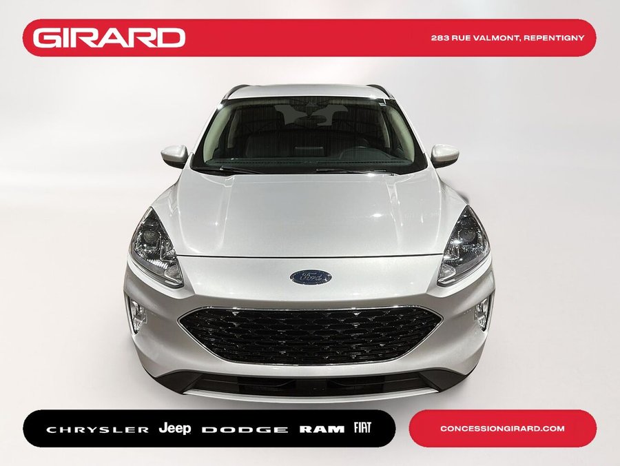 Ford ESCAPE 2020 2020 Gris