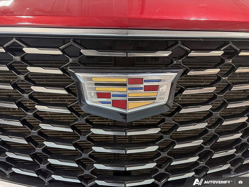 2019 Cadillac XT4 2602026A | AWD Luxury Red Edmonton - photo #8