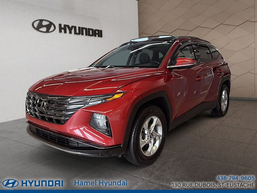 Hyundai Tucson 2024 2024 Rouge