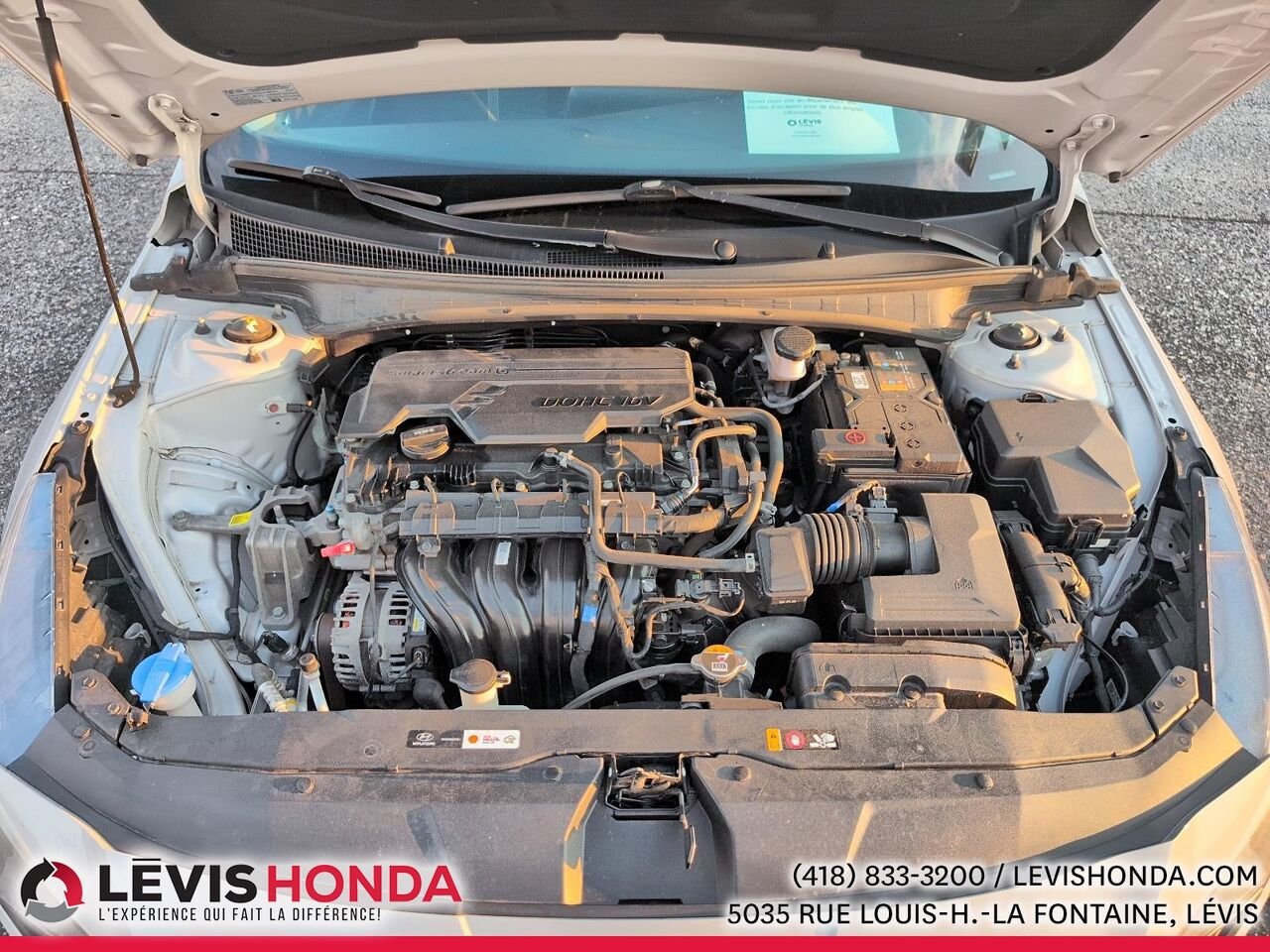 2022 Hyundai Elantra Essential Essential IVT Grey Lévis - photo #15