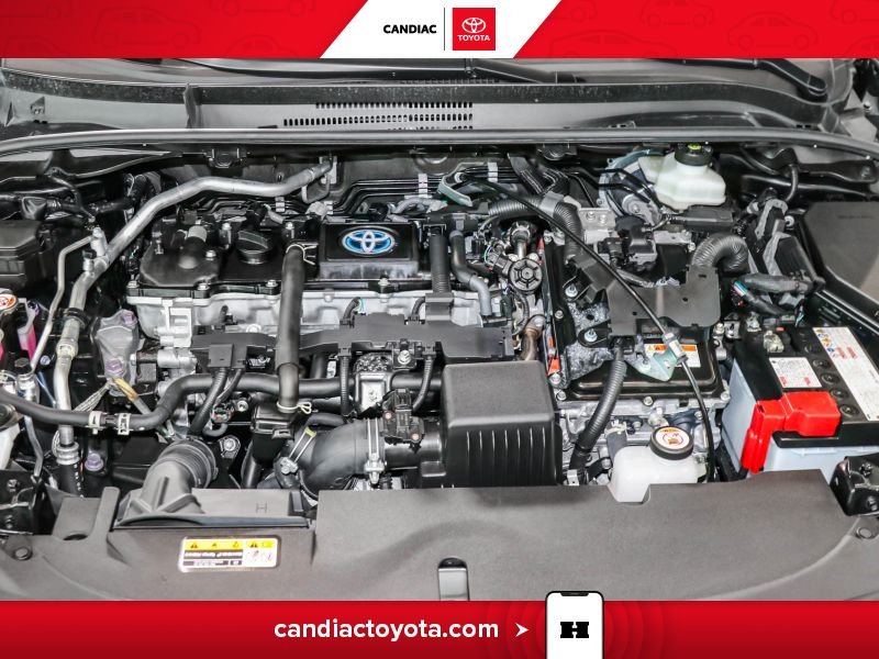 2023 Toyota Corolla Black Laval - photo #34