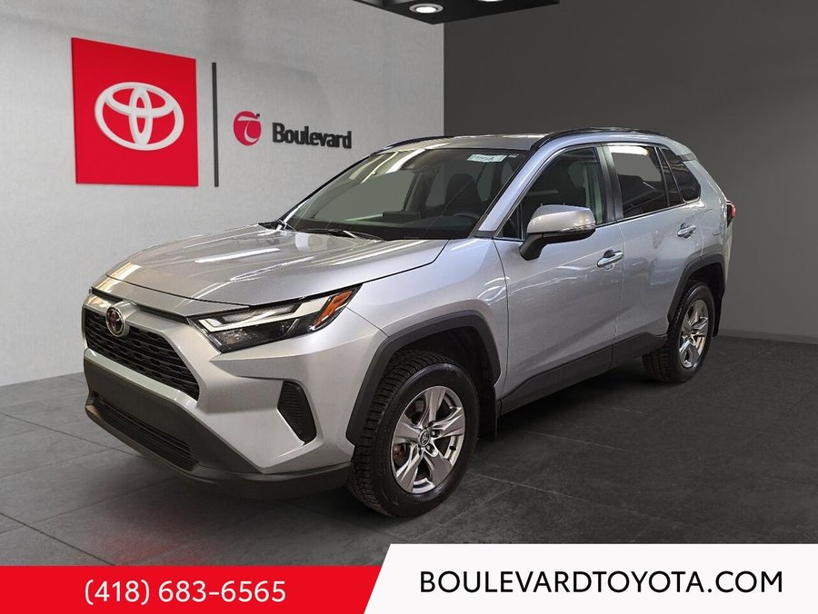 Toyota RAV4 2023 2023 Gris