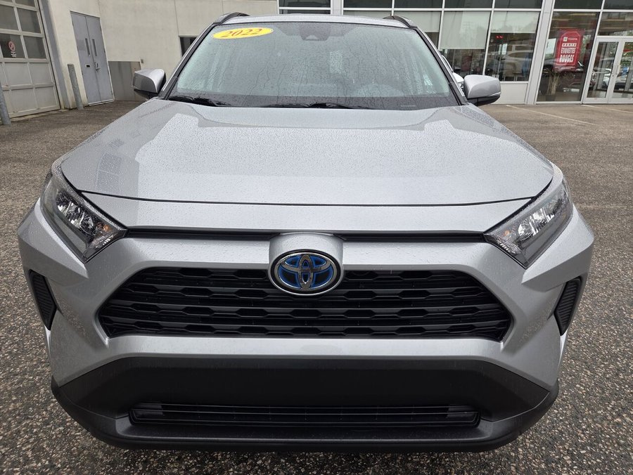 Toyota RAV4 2022 2022 Gris