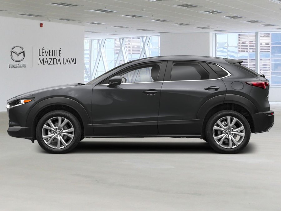 Mazda CX-30 2025 2025 Gris mécanique métallisé