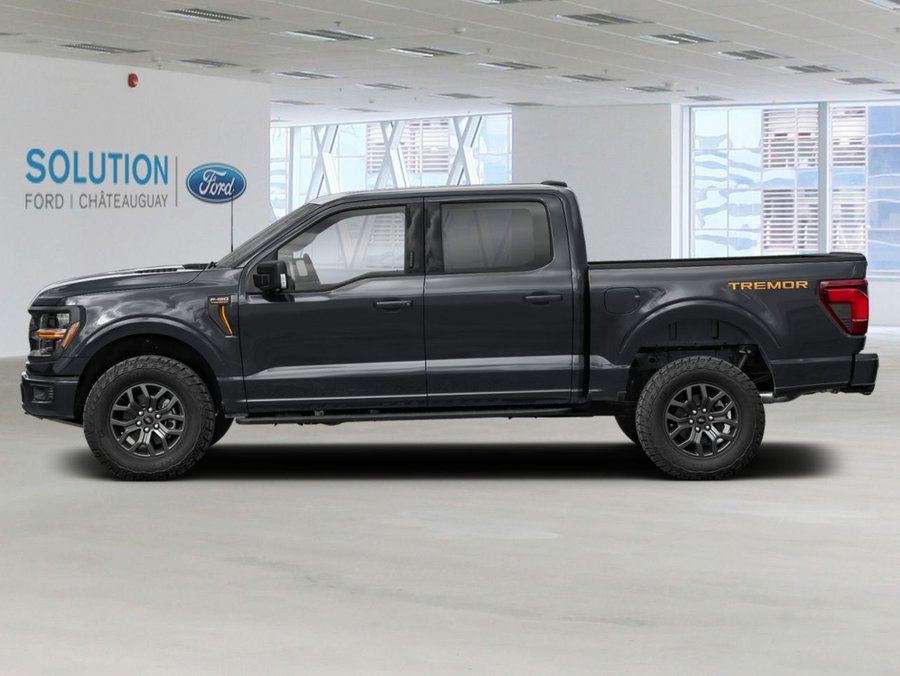 Ford F-150 2026 Noir agate métallisé