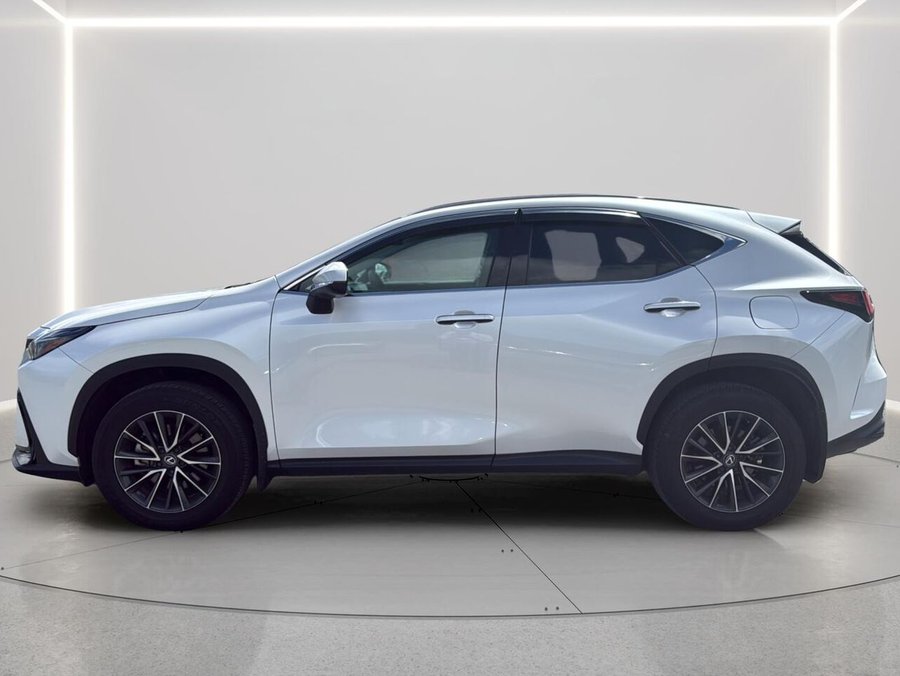 2025 Lexus NX 2025 White