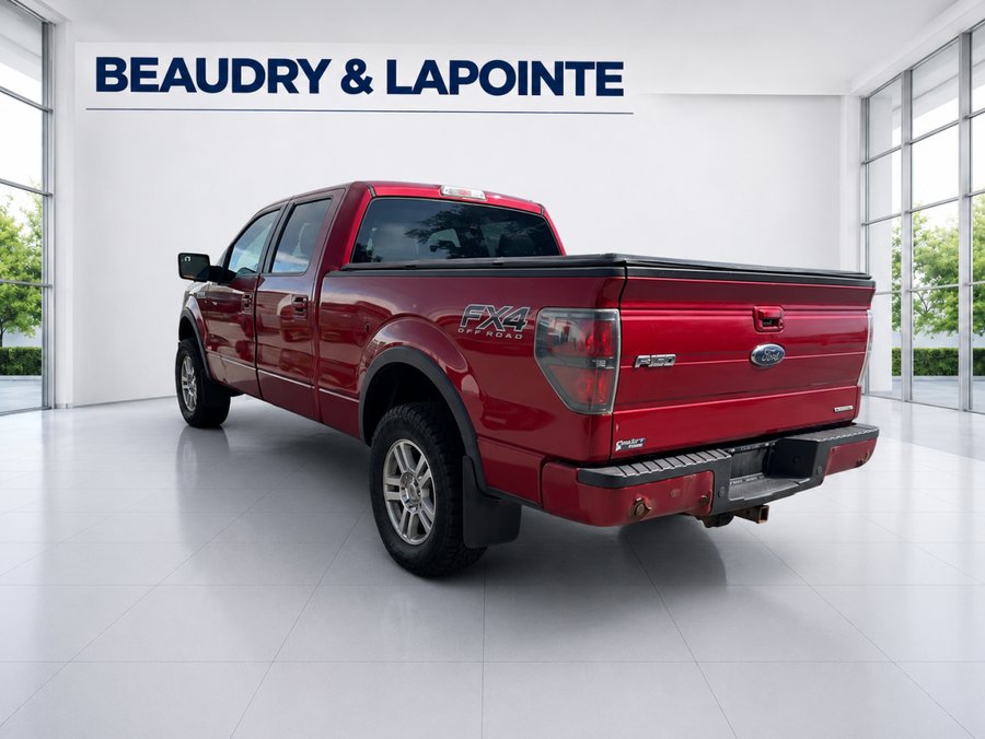 Ford F-150 2014 2014 Rouge