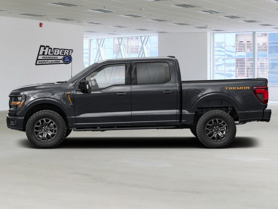 Ford F-150 2026 2026 Noir agate métallisé