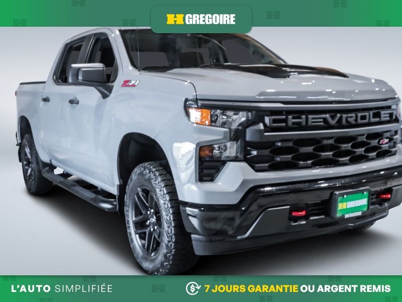2024 Chevrolet Silverado 1500 Grey Laval - photo #0