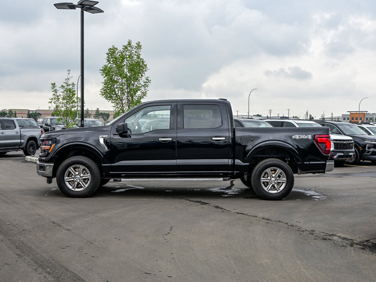 2025 Ford F-150 XLT 4WD SuperCrew 5.5' Box Black Sherwood Park - photo #9