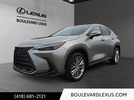 Lexus NX 2024 2024 Argent