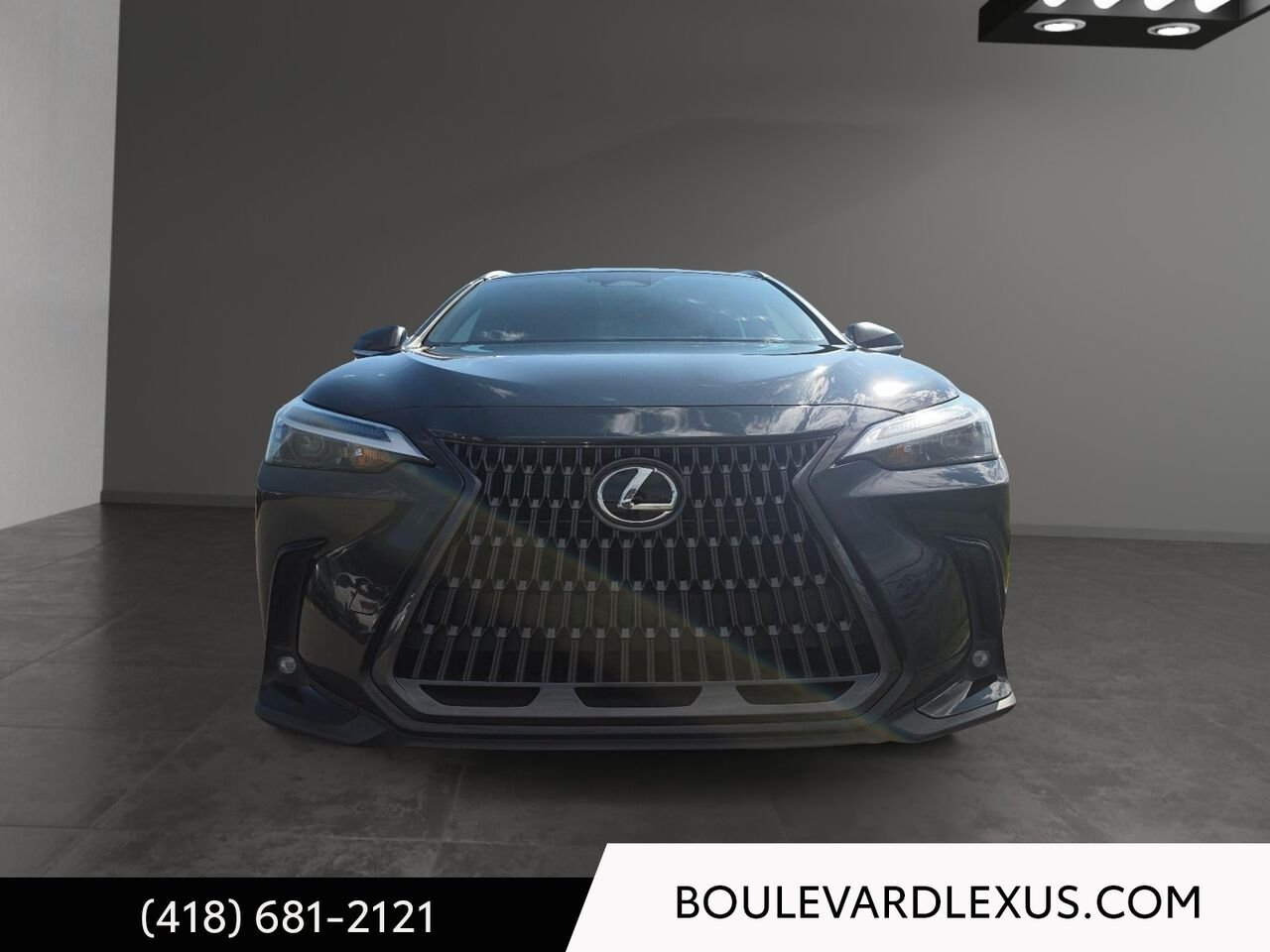 Lexus NX 19917A | NX 350h TI 2022 Noir Québec - photo #1