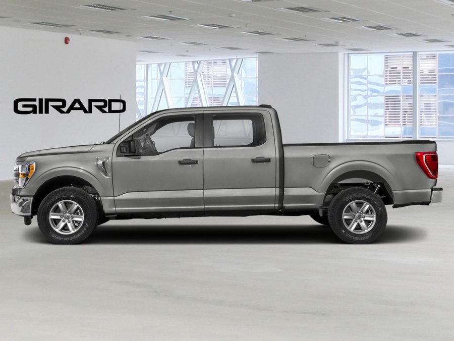 Ford F-150 2023 2023 Gris