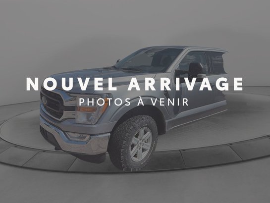2022 Ford F-150 2022 Grey