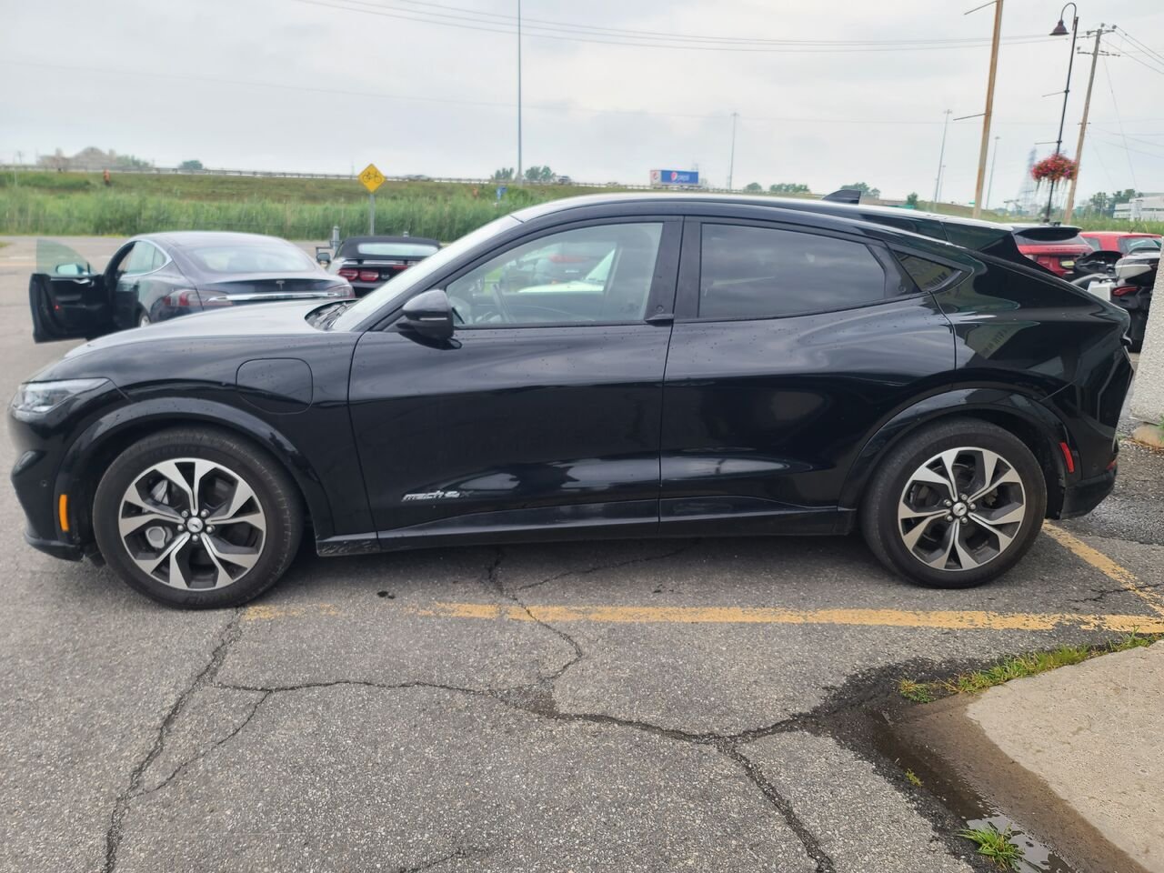 2021 Ford Mustang Mach-E Black  - photo #1