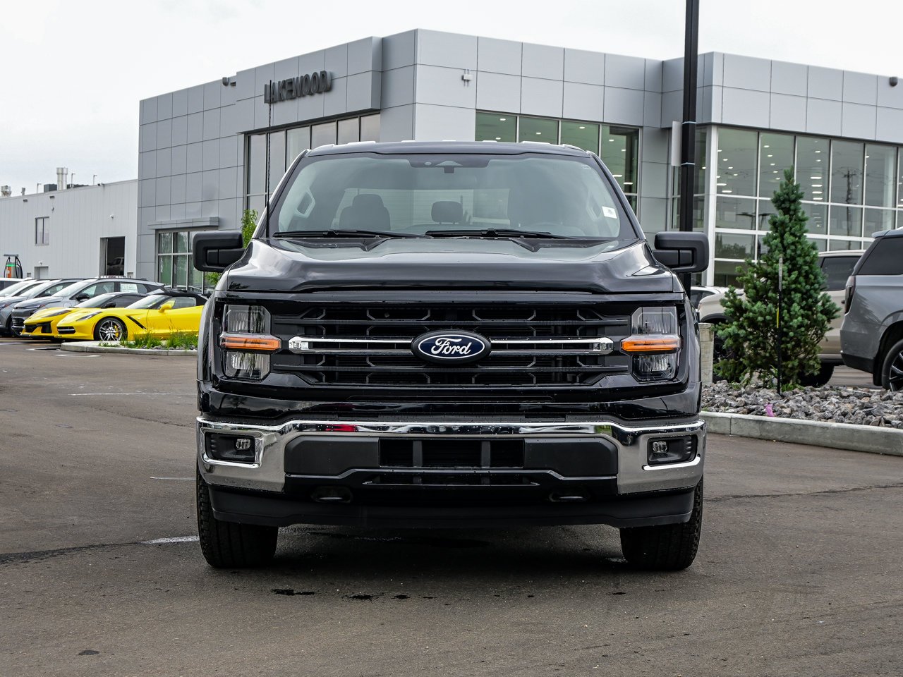 2025 Ford F-150 XLT 4WD SuperCrew 5.5' Box Black Sherwood Park - photo #2