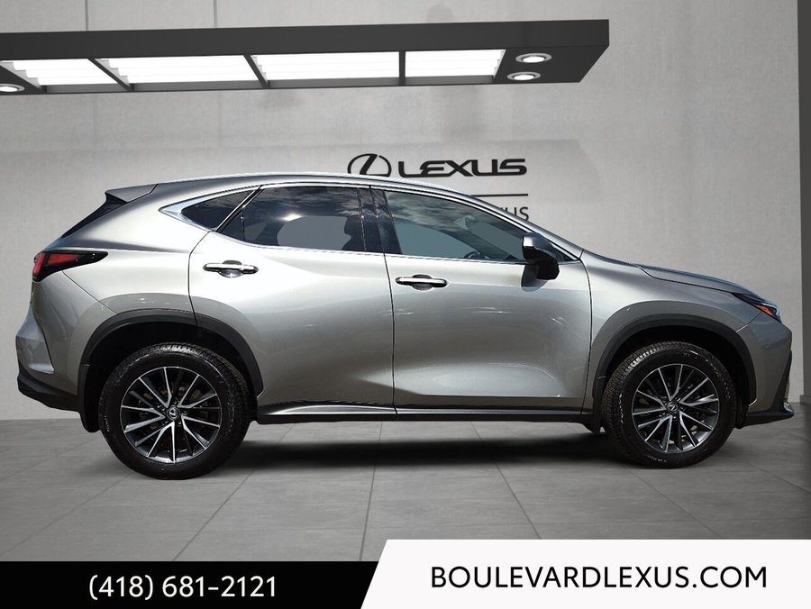 Lexus NX 2024 2024 Argent
