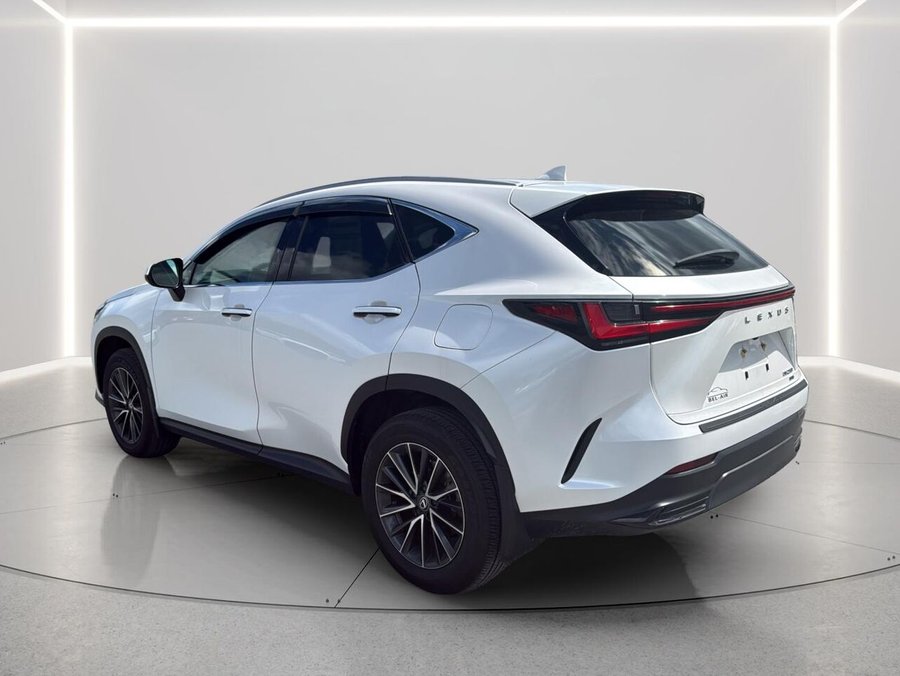 2025 Lexus NX 2025 White
