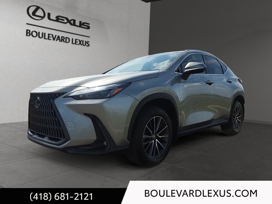 Lexus NX 2024 2024 Argent