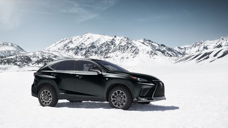 L’expérience Lexus, même à -20°C