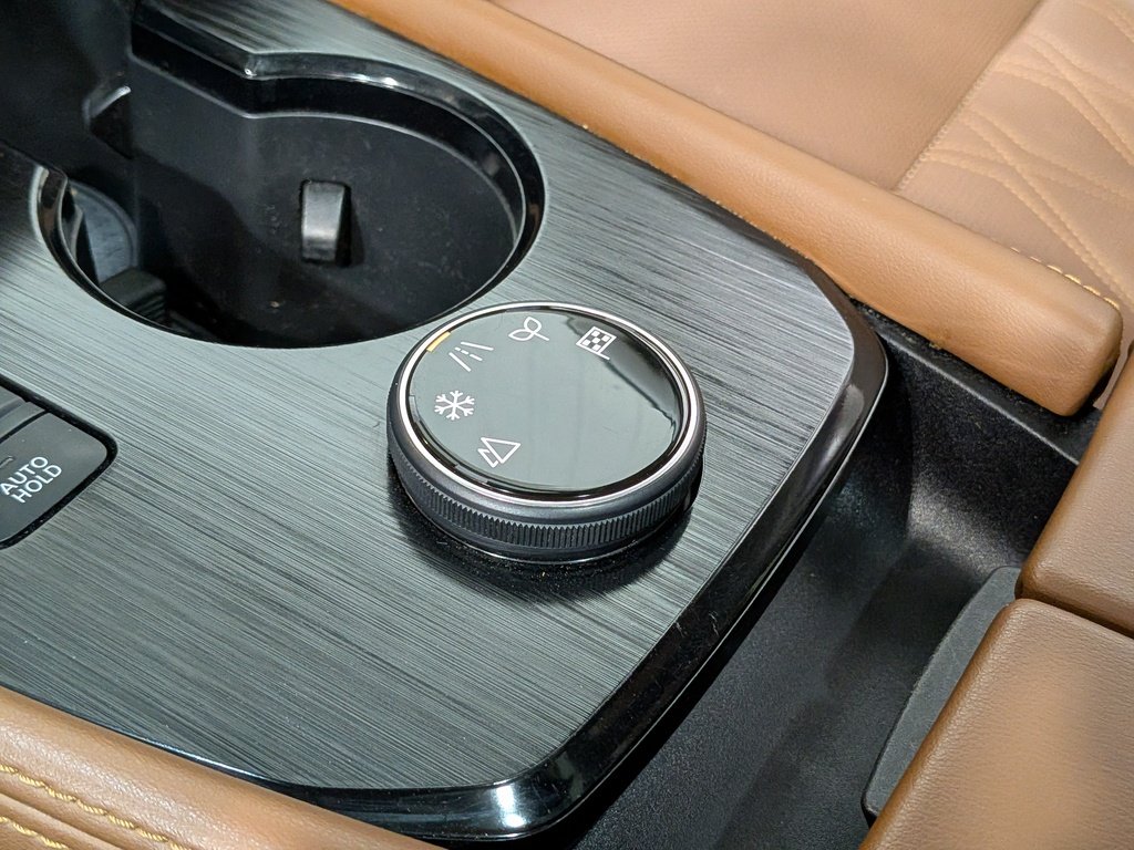 2024 Nissan Rogue AWD Platinum Red Val-David - photo #30