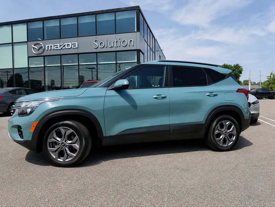 Kia Seltos 2024 2024 Bleu
