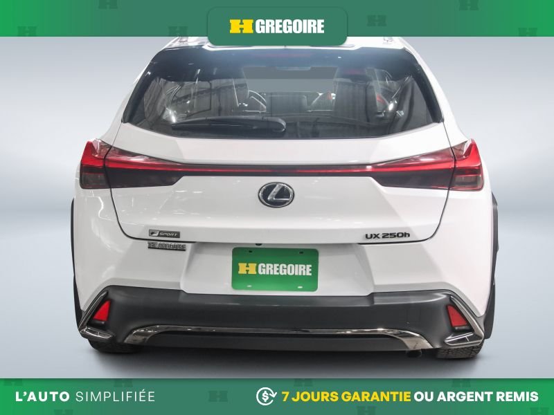 2020 Lexus UX White Blainville - photo #5