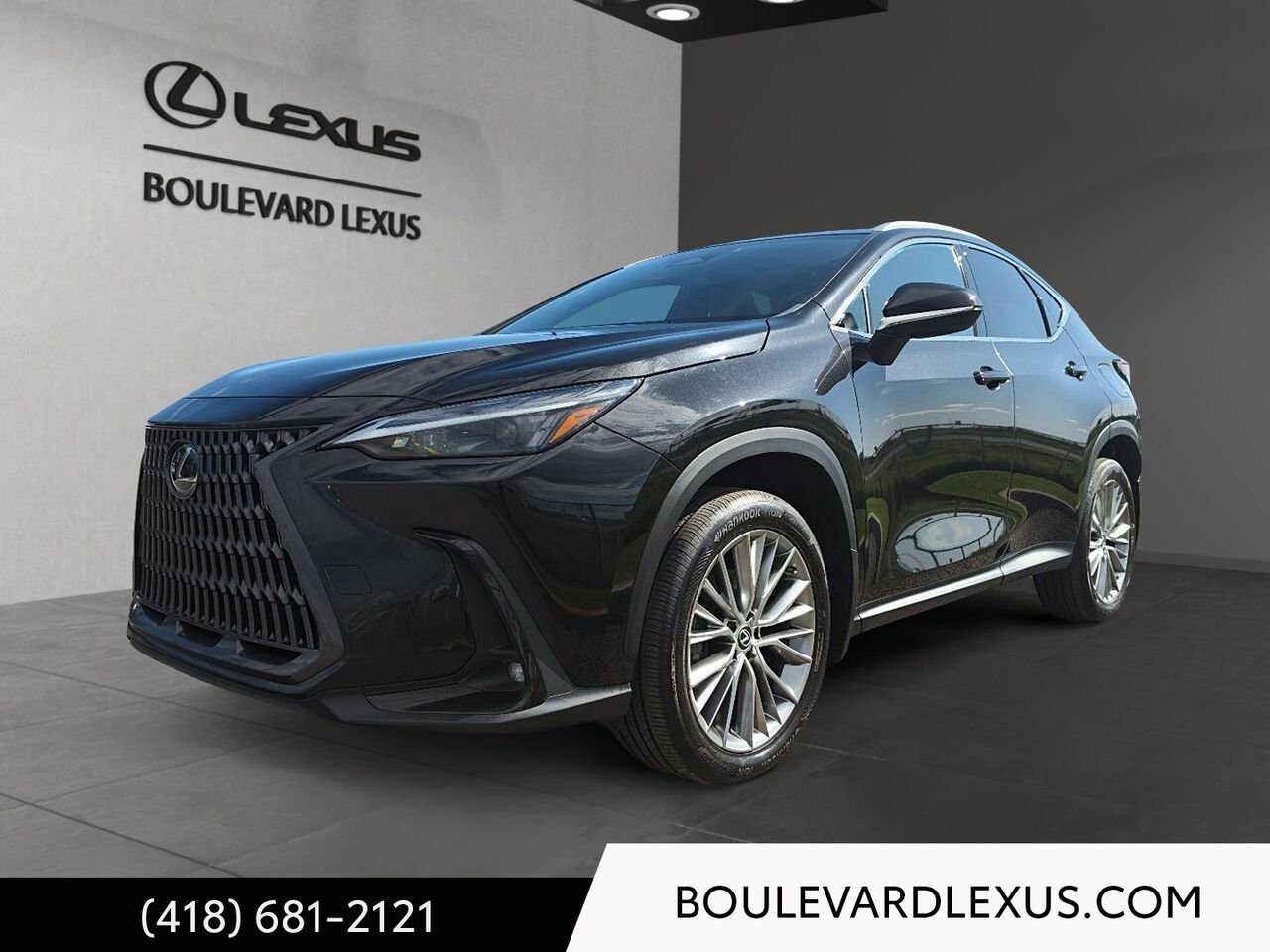 Lexus NX 19917A | NX 350h TI 2022 Noir Québec - photo #0